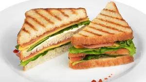 Cheese Paneer Grilled Sandwich