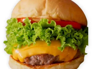 Full Cheese Burger