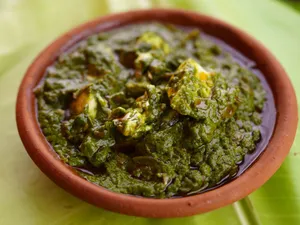 Kadi Palak